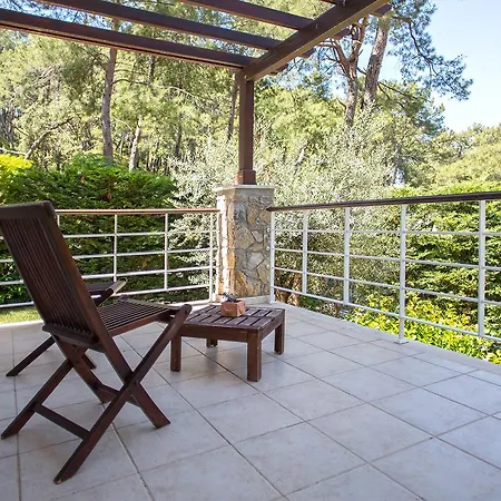 Goecek Vineyard Villas Βίλα Φετιγιέ